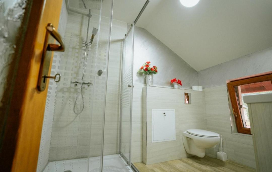 Hotel Casa Daviden Moisei Esterno foto